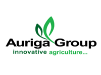 Automation  Brain Private Limited
