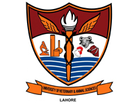 Automation  Brain Private Limited